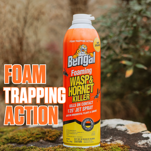 Foaming Wasp & Hornet Killer