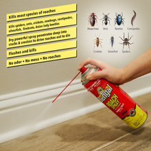 Load image into Gallery viewer, Roach Spray 16 oz
